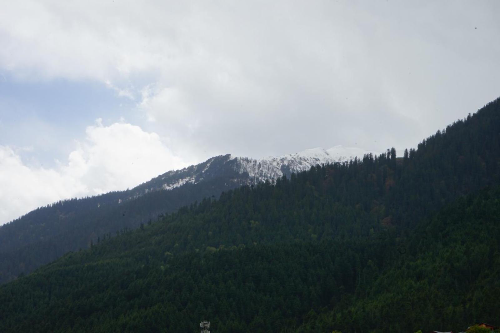 Hotel Magnolia Mallroad Manali Buitenkant foto
